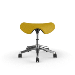 Saddle