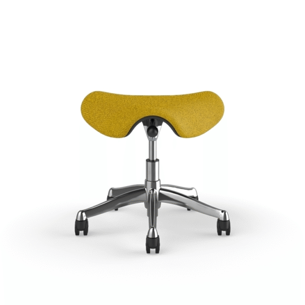 Saddle