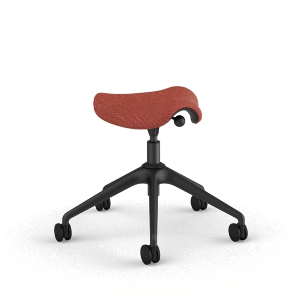 Active Pony - Image 4