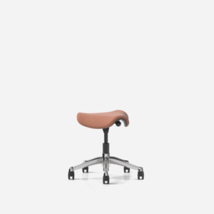 Saddle/Pony